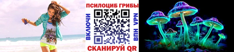 Галлюциногенные грибы Psilocybe  Кирово-Чепецк 